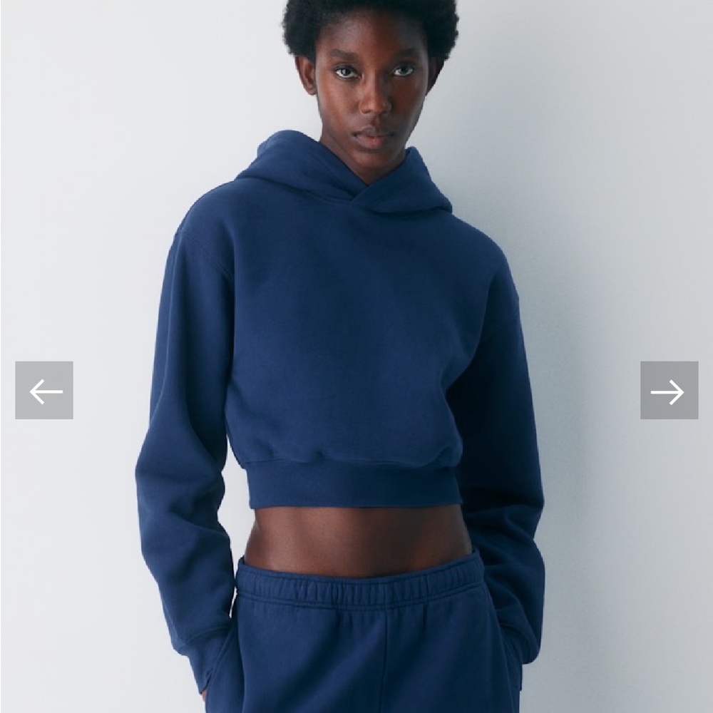 Aritzia Golden Fleece Cozy Blue Cropped Hoodie - Picture 4 of 7